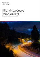 Schréder Shuffle smart column