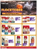 Flocktober Flyer