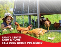 Chick Pre-Order Fall 2025