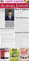 The Sports Ledger